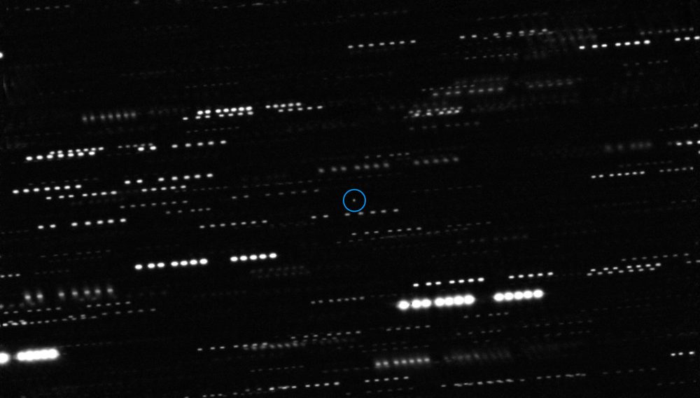 Harvard science professor believes interstellar object Oumuamua was alien tech, not rogue comet