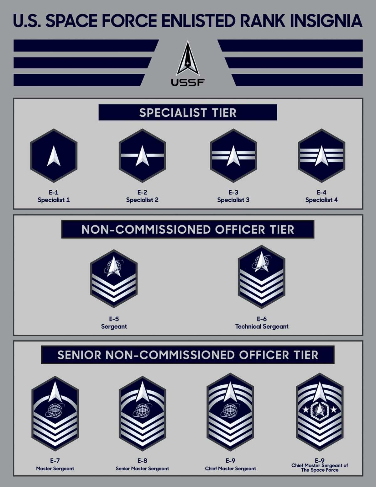 New Space Force enlisted insignias Space Explored