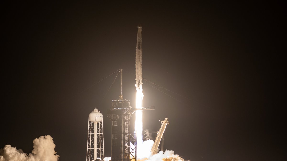 spacex crew-3 launch
