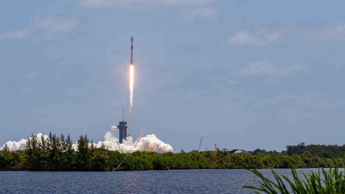starlink 4-19 launch