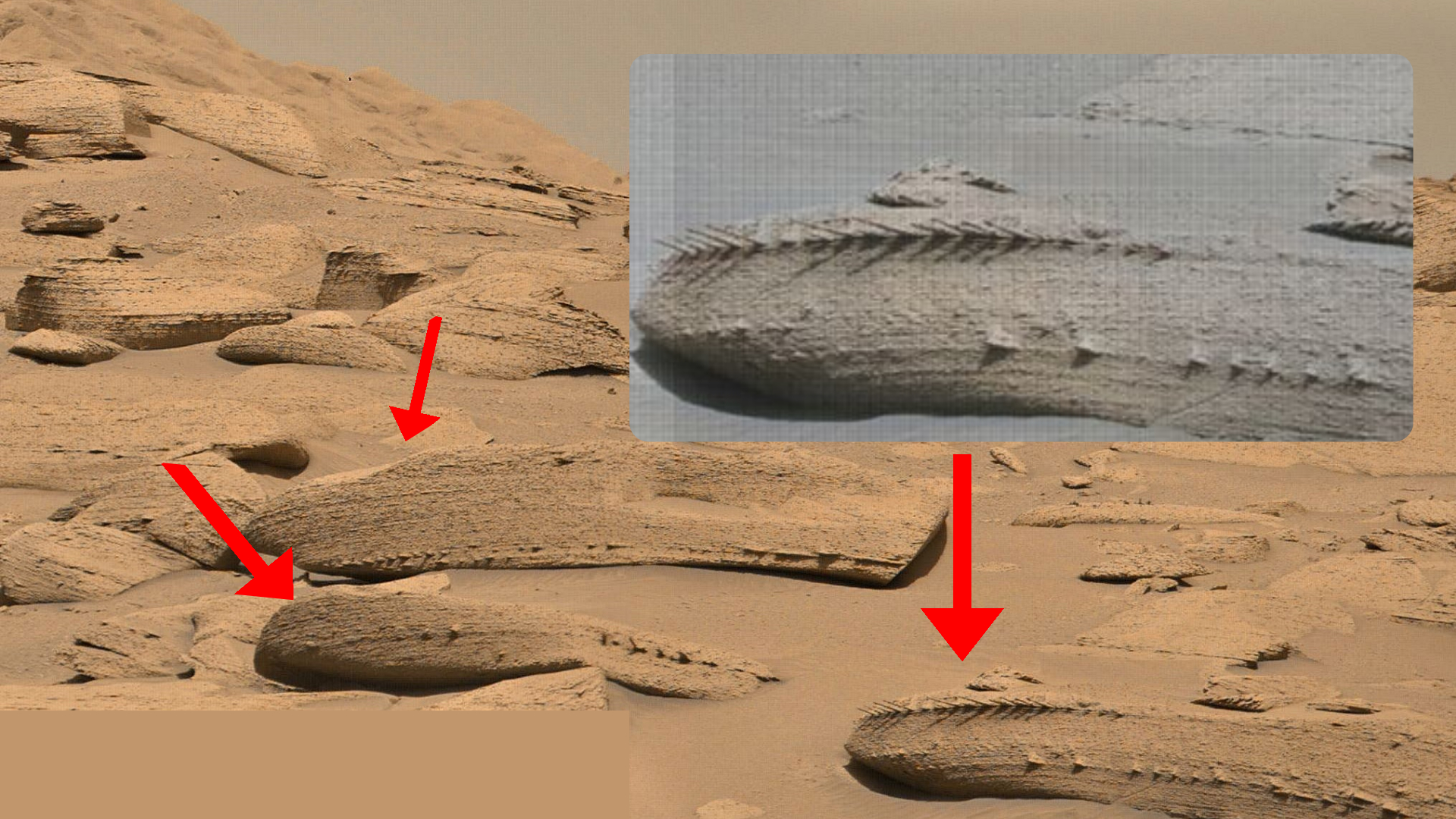NASA rover finds strange dragon bone-looking Mars rocks