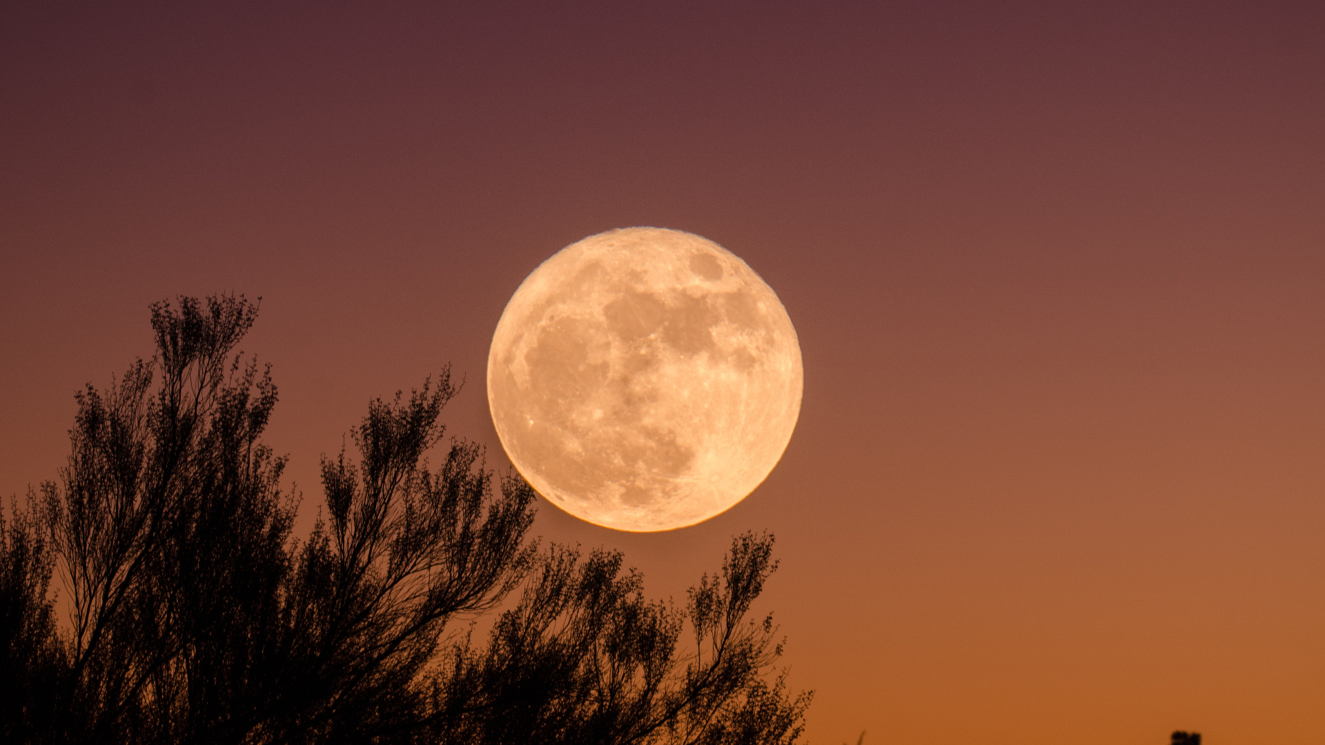 Rare 'super blue moon' rises Wednesday night. How to see it - Los Angeles  Times